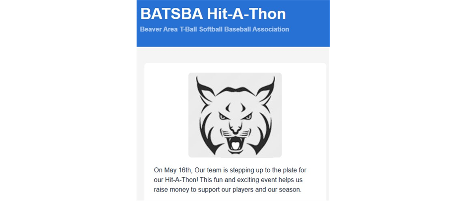 HELP SUPPORT -  Baseball / Softball / T-Ball